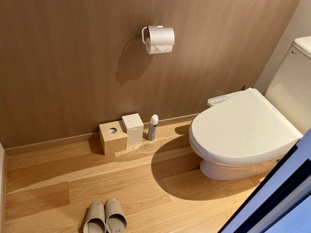TOYA 乃の風リゾート　客室　トイレ